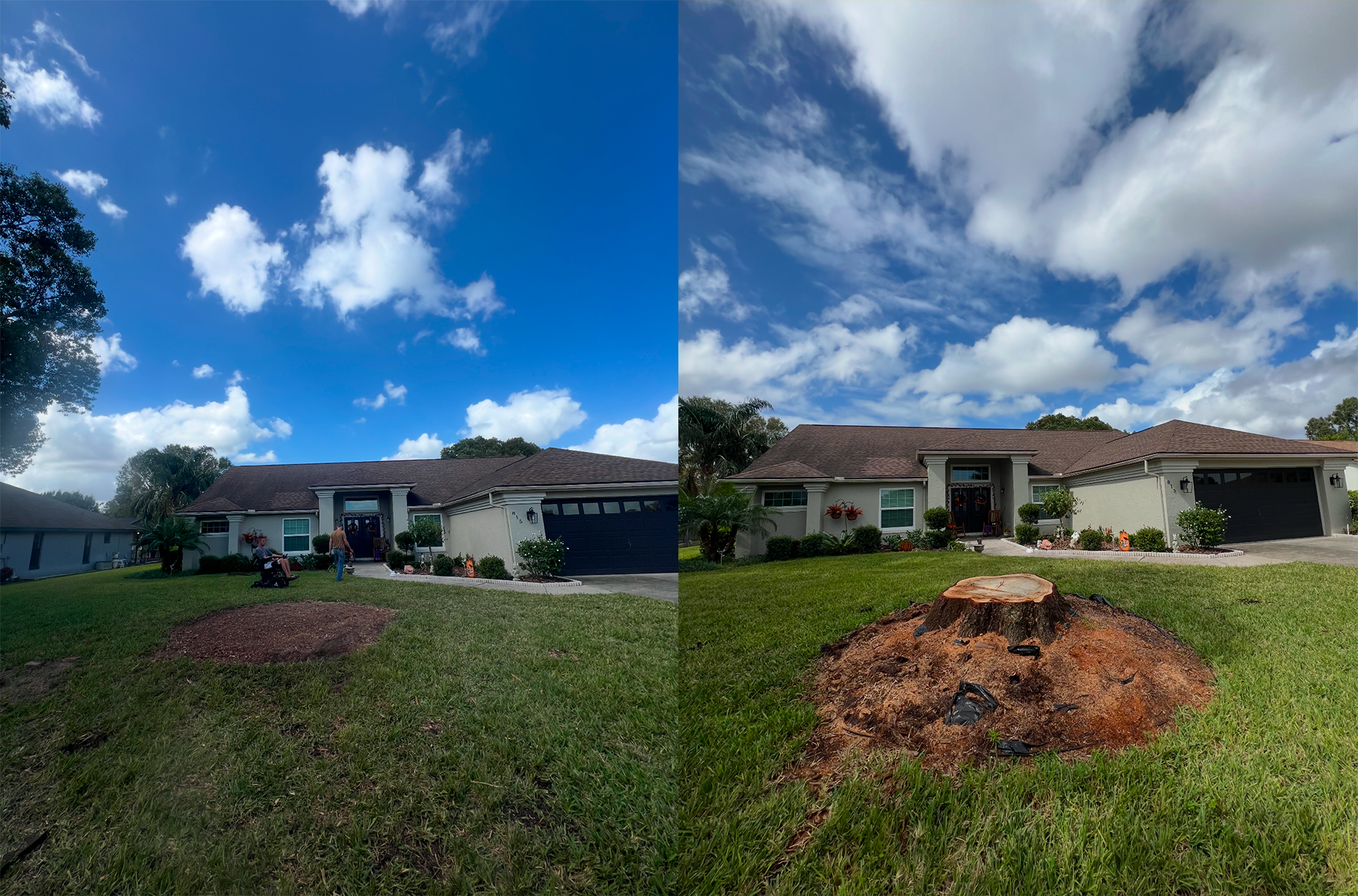 Stump Grinding Davenport FL
