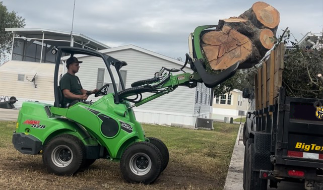 Tree Service Davenport FL